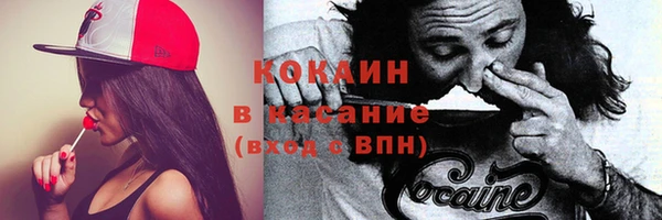 дмт Аркадак