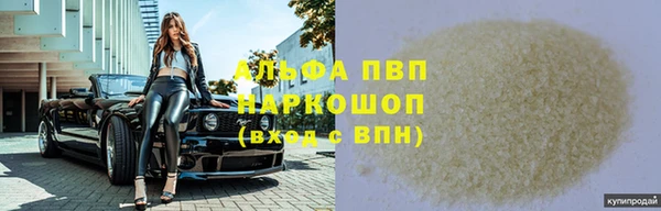 молекула духа Арсеньев