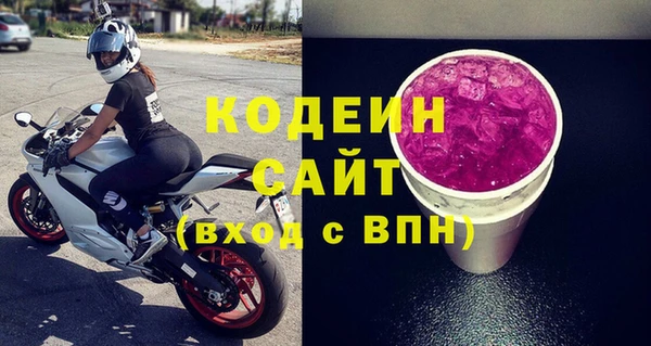 молекула духа Арсеньев