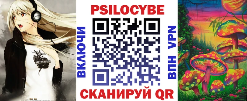 OMG ссылки Тайга Псилоцибиновые грибы Psilocybe дарнет шоп